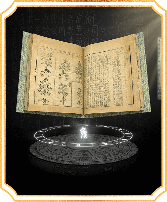 《本草纲目》数字藏品图片精选